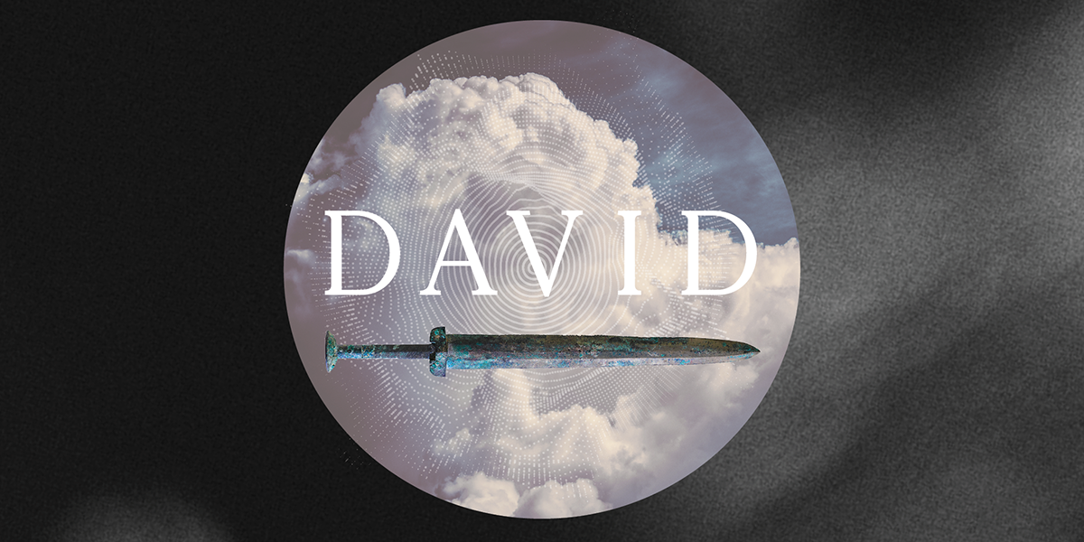 5ed7e0f08bab8dca8b1f8dad_Davide_web_app_header
