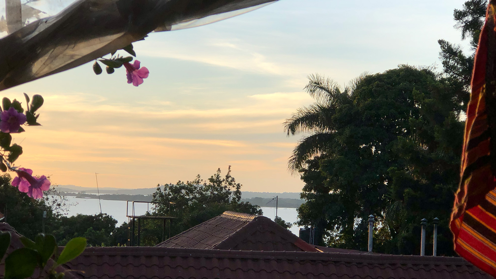 IMG_5376-previewfeatured